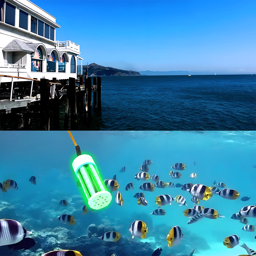 Technologie noire pour la pêche de nuit : révéler comment les lumières attirant les poissons peuvent doubler votre efficacité de pêche